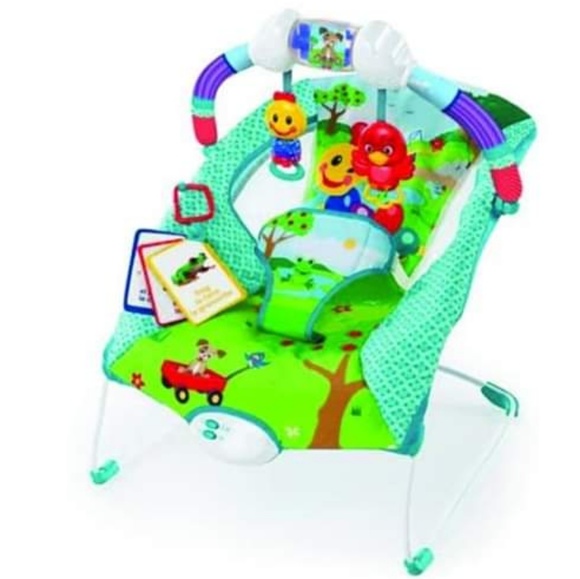 einstein bouncer for baby